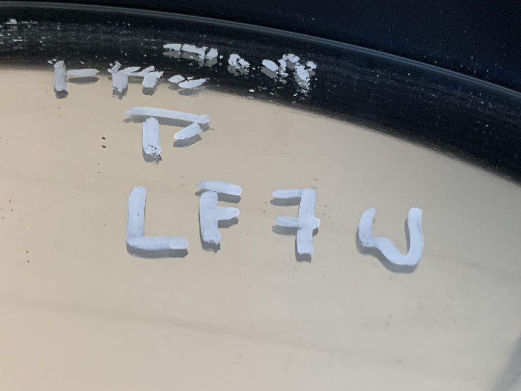 ŠKODA FABIA 2 - 5J - 2007-2014 - zrcátko PP - 9559